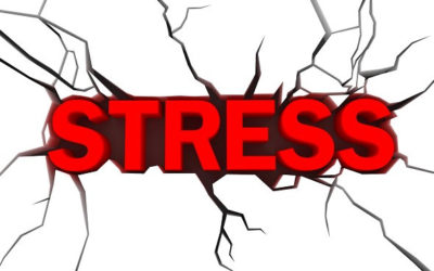 Stress During COVID-19